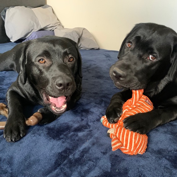 Meet your Posher, Jana - Picture 2 of 2